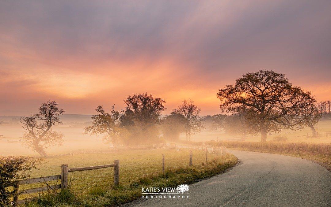 Kasia Kedziora, of Katie's View Photography, shared her favourite West Sussex images with us