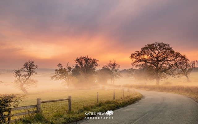Kasia Kedziora, of Katie's View Photography, shared her favourite West Sussex images with us
