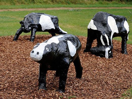 Milton Keynes' history wouldn't be complete without a mention of the concrete cows. The famous herd consisting of three cows and three calves, was created with local children using scrap materials in1978 by Canadian artist-in-residence Liz Leyh,
In 1979 one of the calves was kidnapped by students, who demanded a ransom. Nobody knows whether the cash it was paid or not but the calf was never seen again.