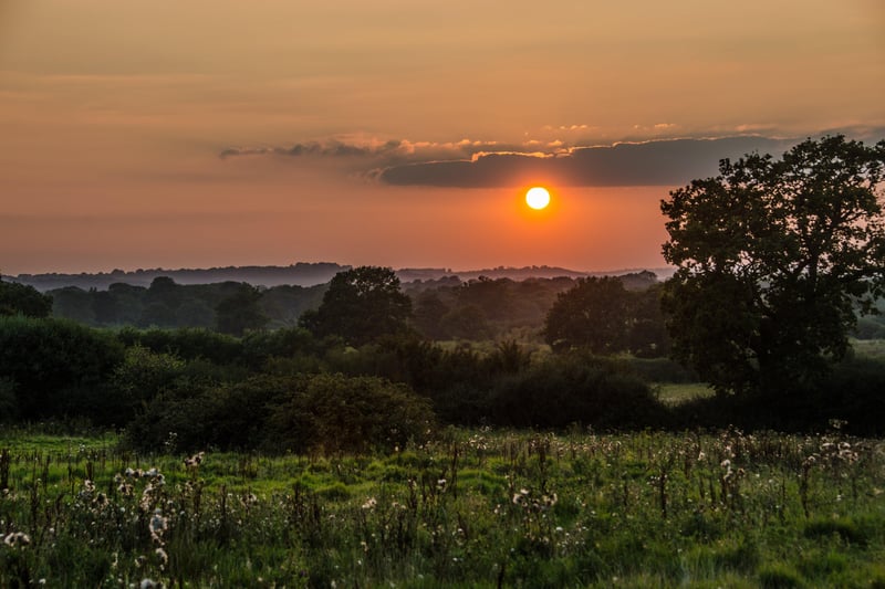 The eerie beauty of sunset on the Knepp Estate. Photo: Charlie Burrell