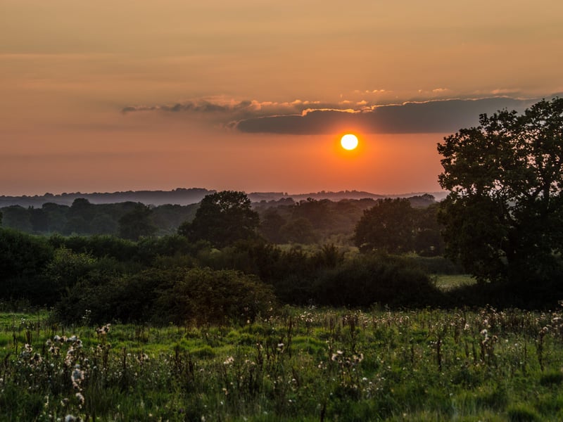 The eerie beauty of sunset on the Knepp Estate. Photo: Charlie Burrell