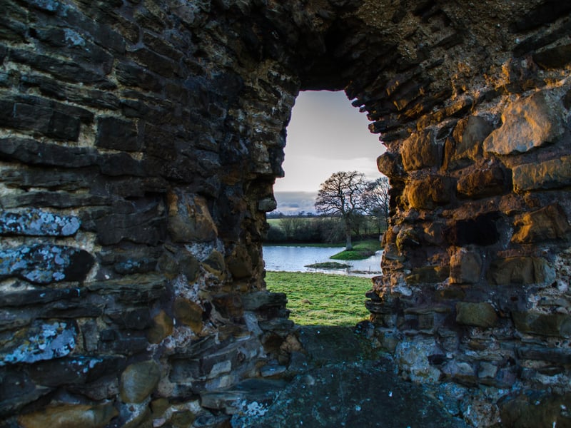 The landscape houses a variety of insects as well as birds and animals. Photo: Charlie Burrell