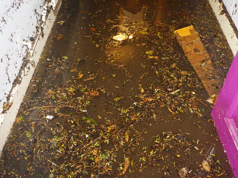Basement area of a property in South Terrace, Hastings, flooded during a storm on 16/6/21. SUS-210617-135618001