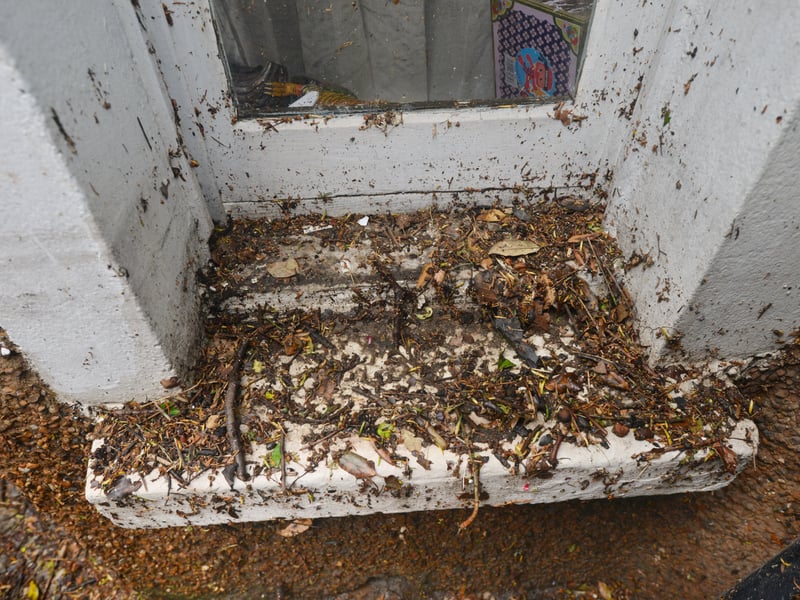 Basement area of a property in South Terrace, Hastings, flooded during a storm on 16/6/21. SUS-210617-135910001