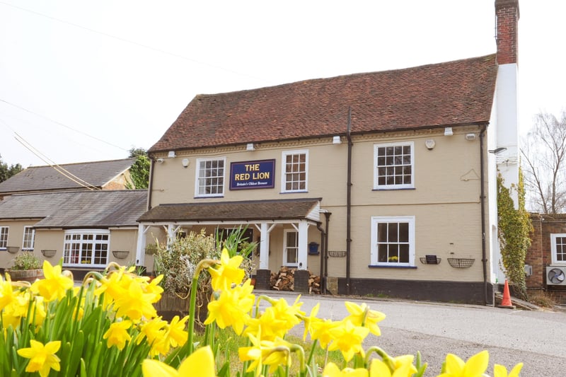 The Red Lion in Chelwood Gate is a stylish country pub on the edge of the Ashdown Forest. Picture: Derek Martin.
