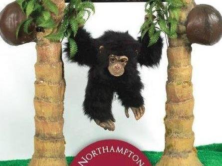 Most people, who have grown up in Northampton, have a suppressed memory of being mesmerised watching Charlie the Chimp at Gordon Scott's shoe shop when they went shopping in Abington Street.
