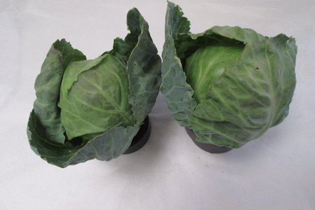 Barry Hillman was first in class for two cabbages