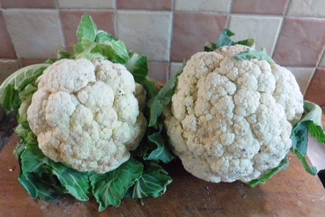 Ian Swyer was first with his entry of two cauliflowers