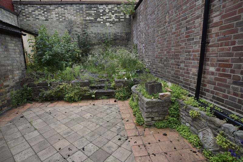 The garden at the rear of the J W D'Arcy shop in Westgate. EMN-210630-161915009