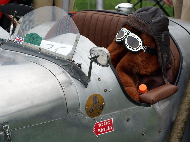 Bexhill 100's Vintage Car Show, 26/6/21. Photo by Derek Canty SUS-210627-162038001