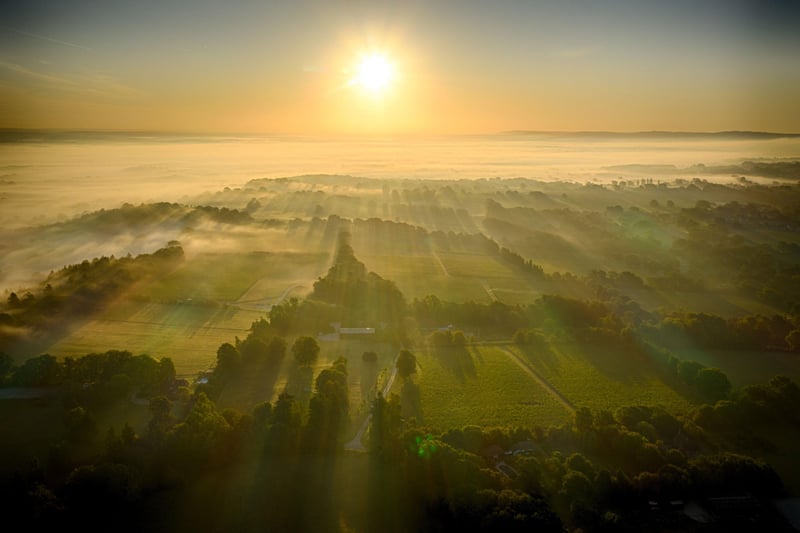 The early morning sun shines across The Nyetimber Vineyard on a misty morning. The Vineyard is starting the annual harvest. Photograph By Chris Gorman on behalf of Nyetimber.