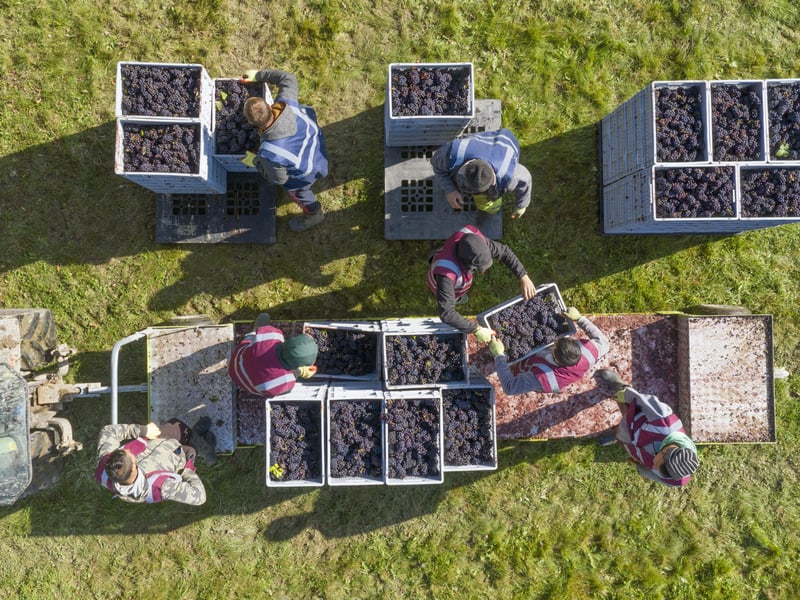 The Nyetimber estate. Photo: Nyetimber