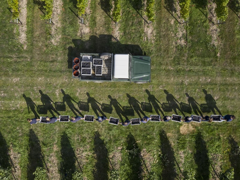 The Nyetimber estate. Photo: Nyetimber