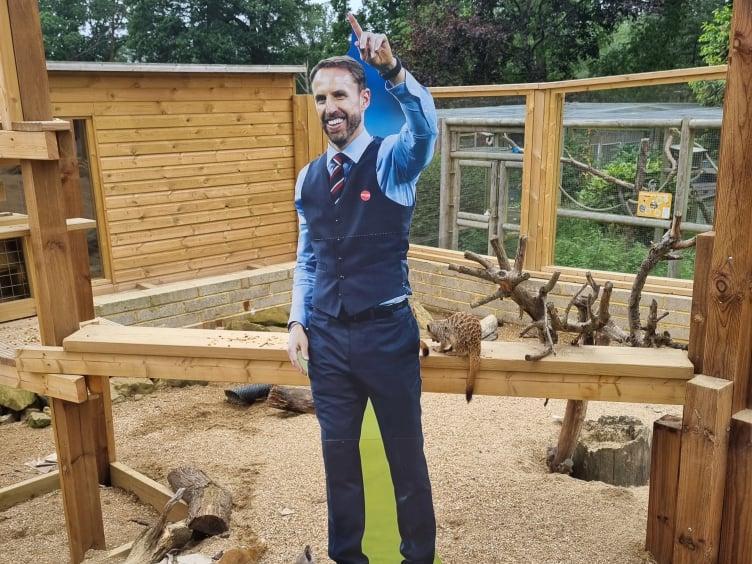 With the meerkats in Tilgate Nature Centre