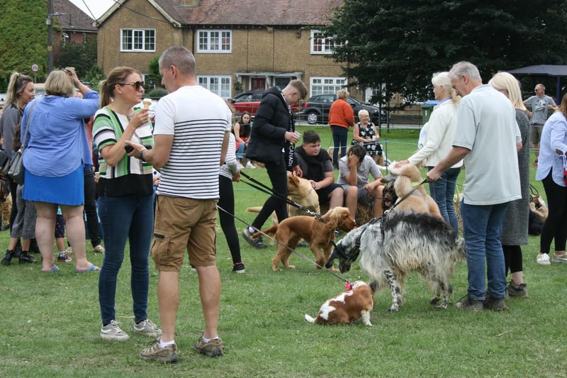 The dog show was a big hit with pet owners