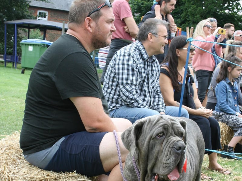 People enjoyed getting involved with the dog show