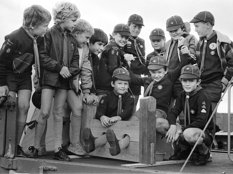 In the stocks