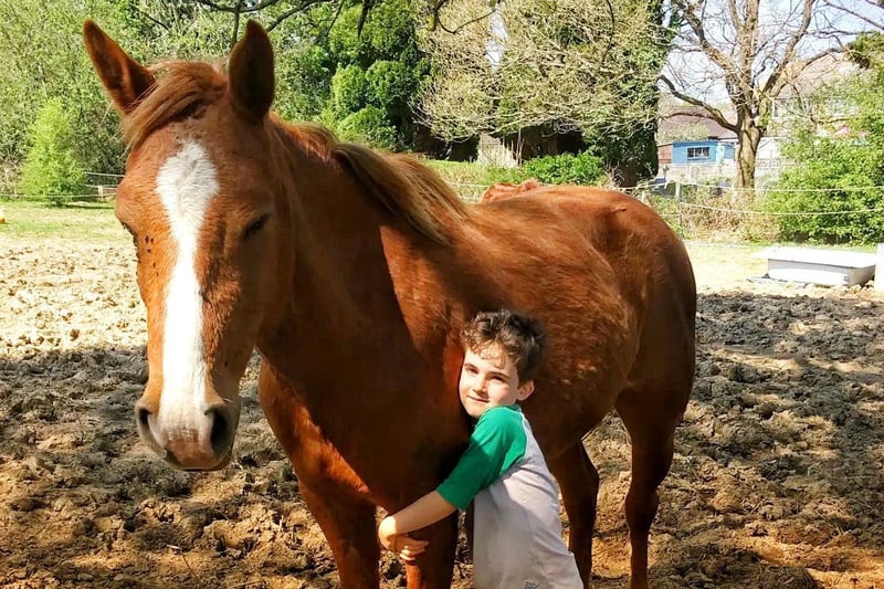 Sessions can include sitting with horses, grooming them or hugging them.