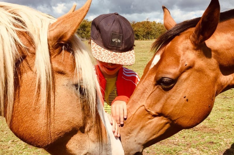 Equine Gentling Community Herd offers after school sessions, joint family sessions and weekend activity sessions.