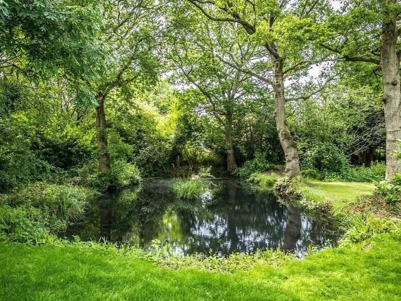 There are two ponds to the southern boundary as well as fruit trees.