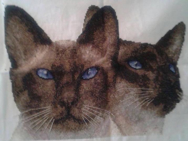 Her work is purrfect!
