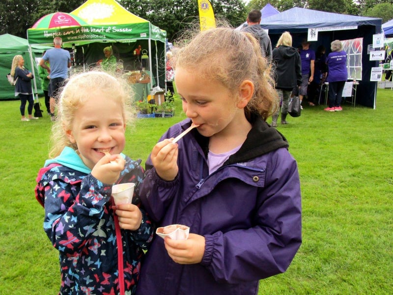 Uckfield Festival Big Day 2021. Photos by Ron Hill