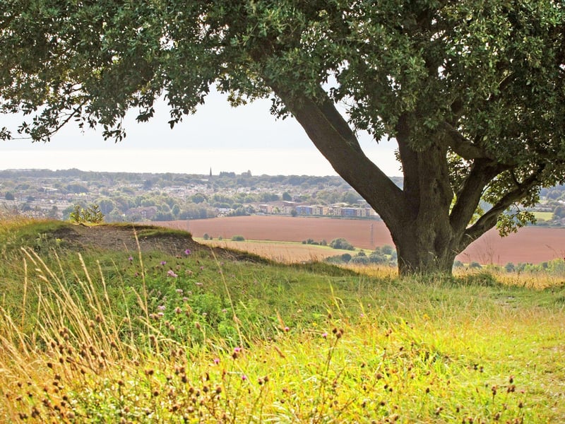 Take a walk up Highdown Hill and let the children run free. There are various routes to choose from and a free car park.