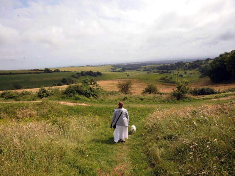 Cissbury Ring, owned by the National Trust, is the most historic hill on the South Downs and you can access it for free from various places. There are panoramic views and if you are lucky, you will spot the free-roaming ponies that graze there.