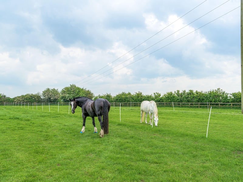 The equestrian property in Deeping St James with a £1.5m guide price