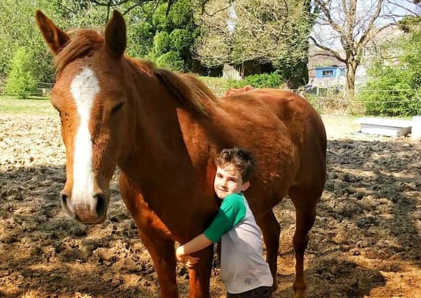 Sessions at Equine Gentling Community Herd can include sitting with horses, grooming them or hugging them.