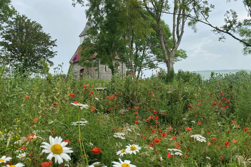 Donato Tallo took this photograph in Lullington. "The Church of The Good Shepherd can be seen behind the lovely flowers and trees," he said. SUS-210716-113413001