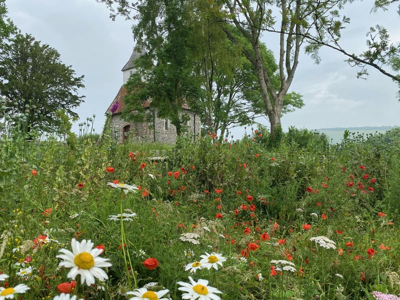 Donato Tallo took this photograph in Lullington. "The Church of The Good Shepherd can be seen behind the lovely flowers and trees," he said. SUS-210716-113413001