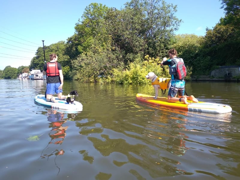 The brothers paddle boarding with their dogs. They may spend time on the anniversary of the deaths of their mother and sister with their pets.