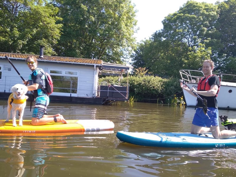 Ryan and Luke paddle boarding with their dogs.