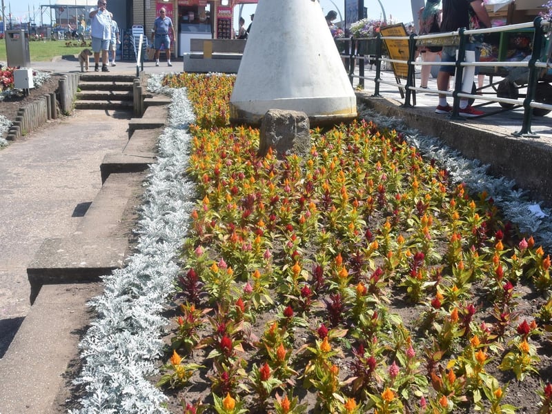 ELDC water the gardens daily in hot weather.