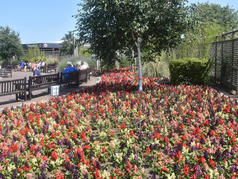 A riot of colour in Compass Gardens.