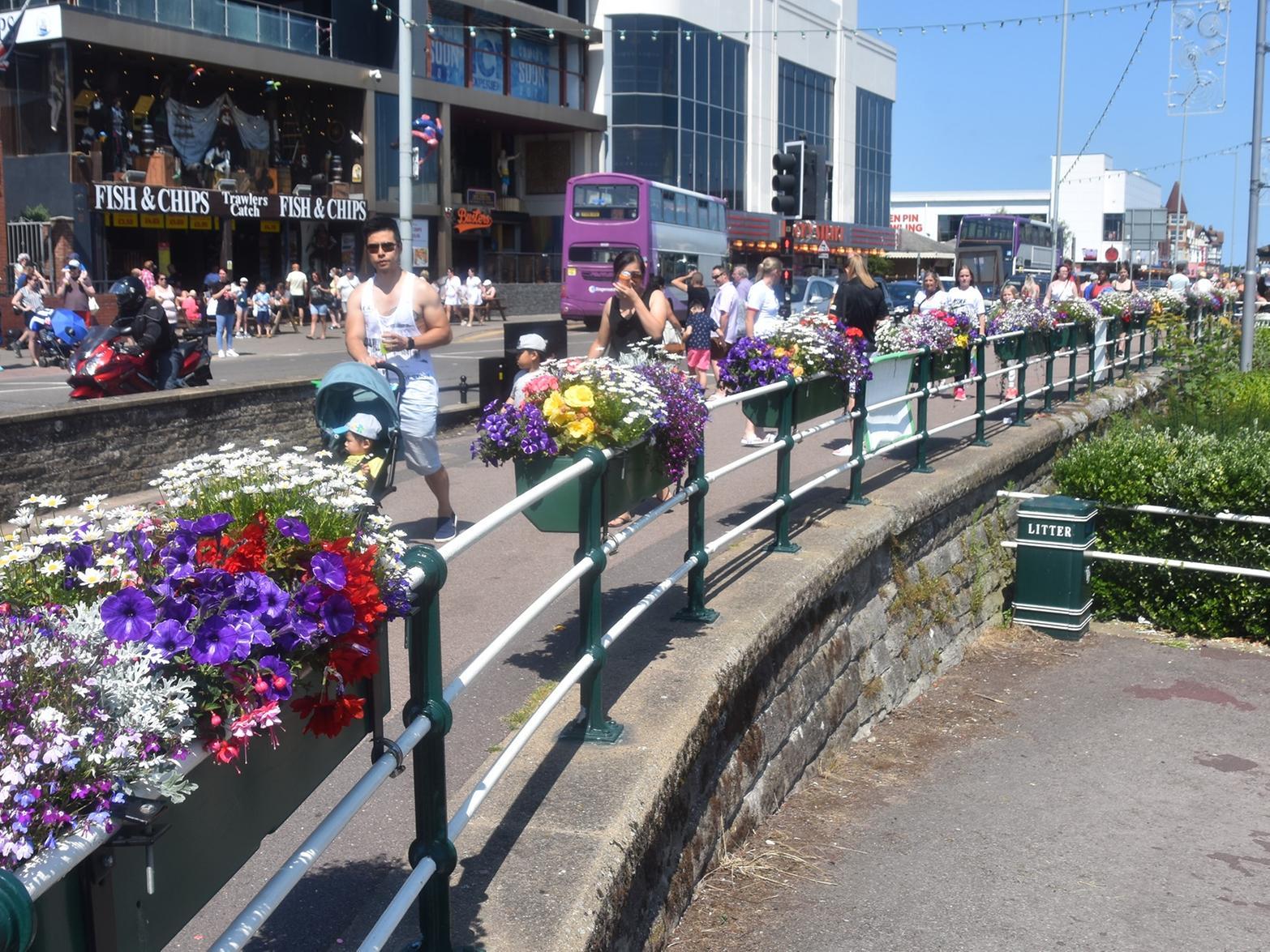 Flower baskets looking splendid near Compass Gardens in Skegness.