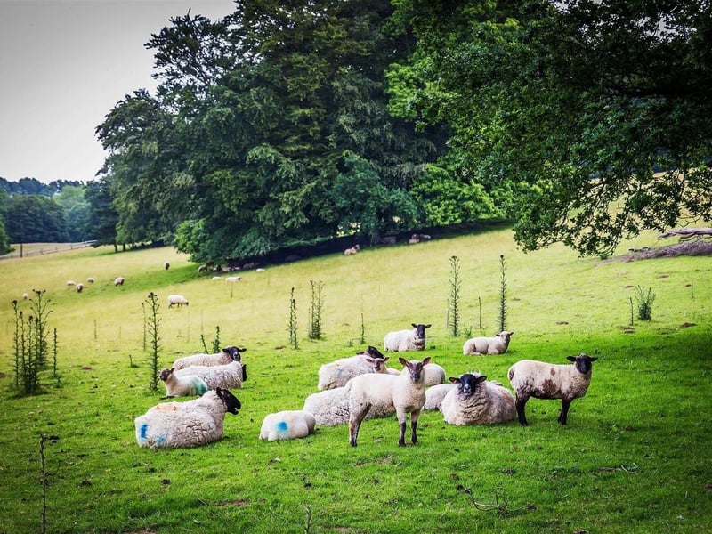 Tottingworth Park, Broad Oak, Heathfield