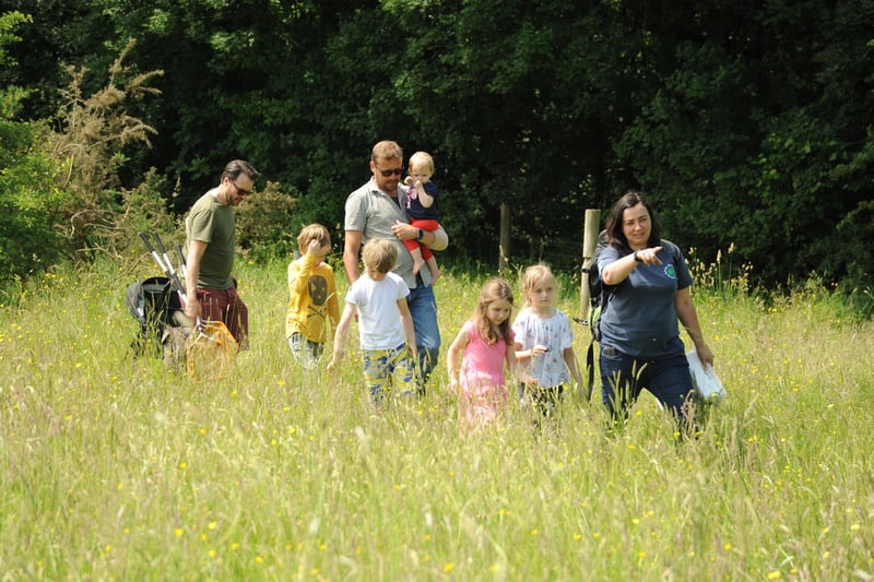 Chesworth Farm, Chesworth Lane, Horsham RH13 0AA - Chesworth Farm has 90 glorious acres of colourful meadows and ancient hedgerows to explore and perfect for a family stroll. More details: https://www.horsham.gov.uk/parks-and-countryside/chesworth-farm Picture credit © Miles Davies