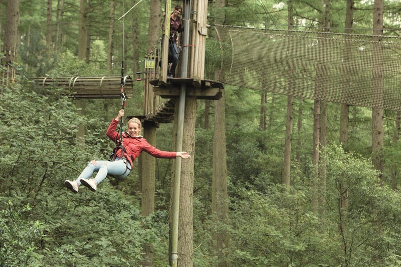Go Ape Tilgate, Tilgate Drive, Crawley RH10 5PQ - Fantastic treetop adventures await at Go Ape which sits within located in Tilgate Park with two courses and forest segway on offer. More details: https://goape.co.uk/locations/crawley