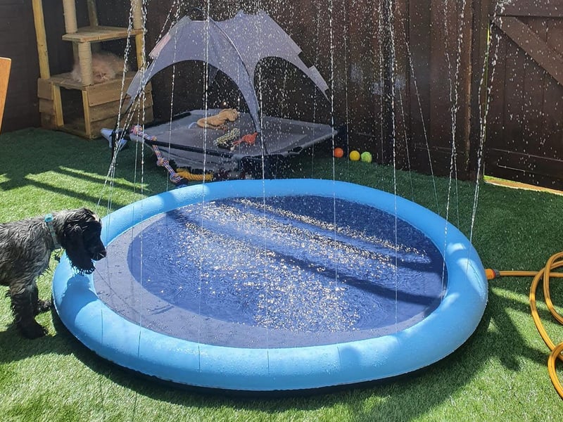 Doggy splash mat! Photo: Sarah Kelly