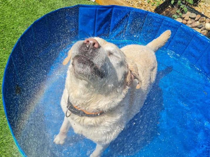 No caption needed. The face says it all. Photo: Carly Morson
