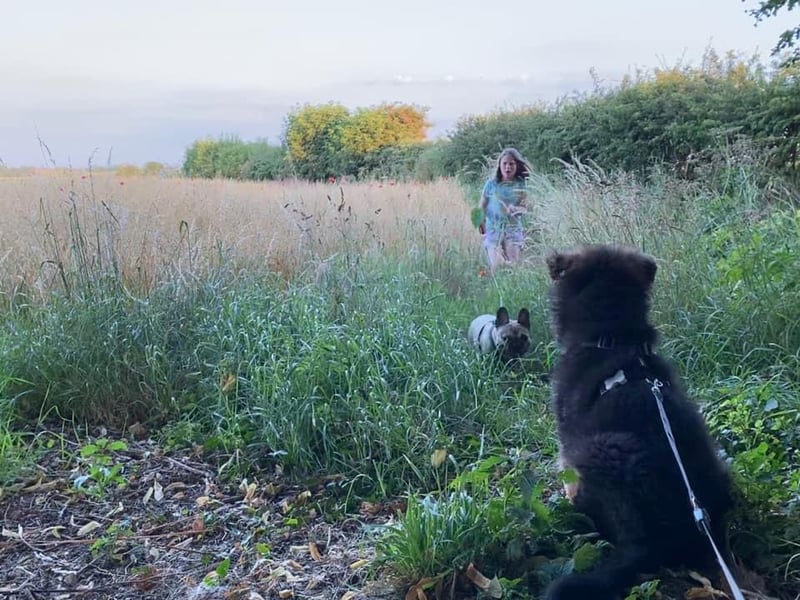Evening walks when it is colder. Photo: Clare Jones