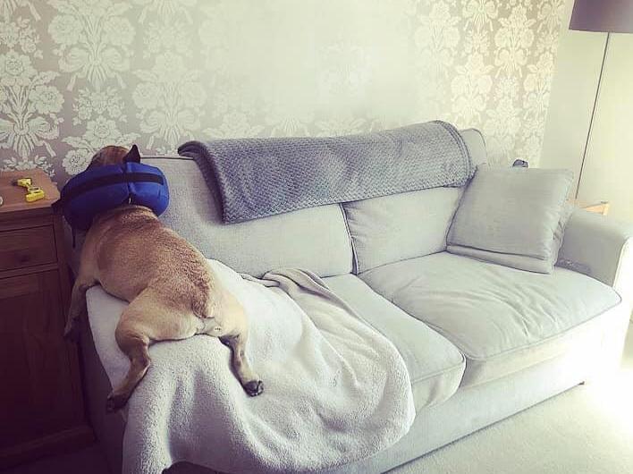I... guess that works too. Photo: Kristina O'Leary