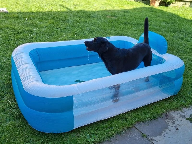 Notice how the pool has already required taping up! Photo: Rebecca Murphy