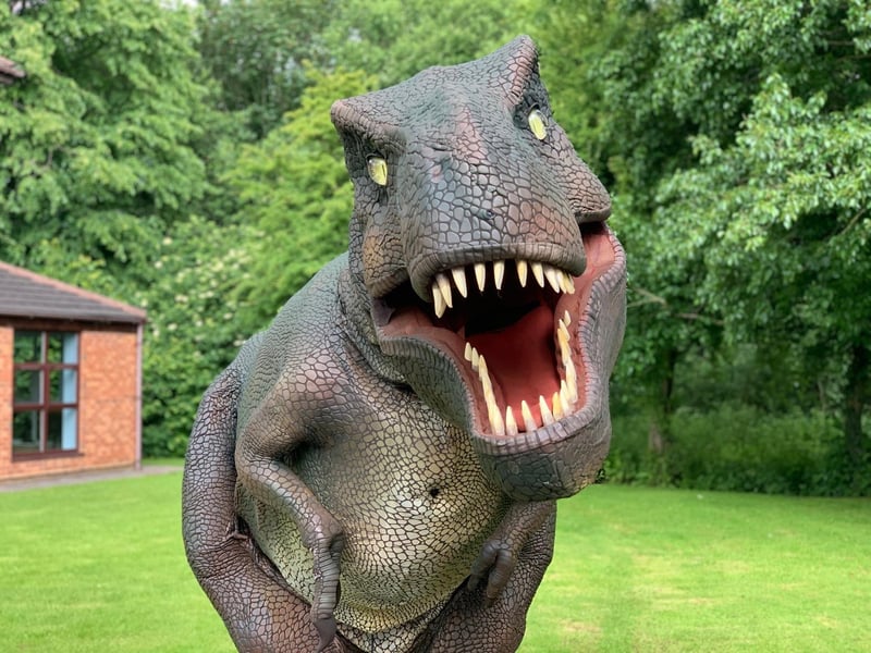 July 24. Dinosaurs are set to take over Northampton town centre from July 24! There will be an interactive Dino Trail, a 360 degree immersive Dino Dome experience, Dino Diner Meal Deals and characters including Ritchie the Raptor, Zeus the T-Rex and Tank the Triceratops will be entertain the crowds throughout Market Square! The event promises to be a roaring success for dinosaur lovers across the town!