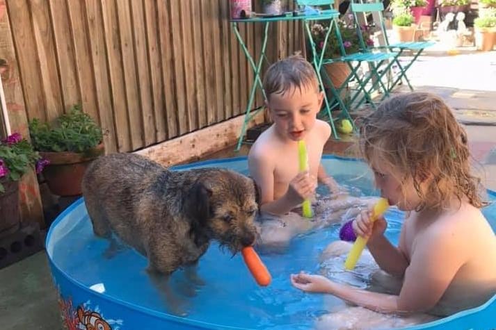 "Carrot in the paddling pool," said Sharon Oakley. SUS-210722-111733001