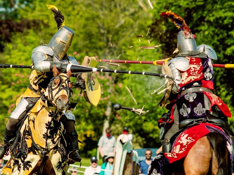 The joust is great fun for the whole family