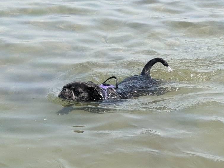 And this pic of Ethel was snapped by Gemma Finch