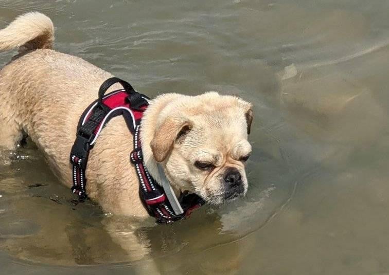 Gemma Finch also shared this picture of Dolly